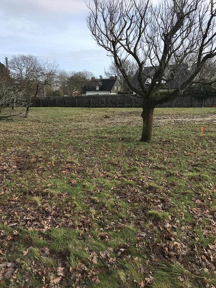 ext02_kerlamen_mesquer