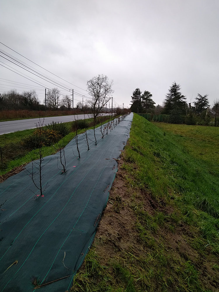 ext03_bassemornais_donges